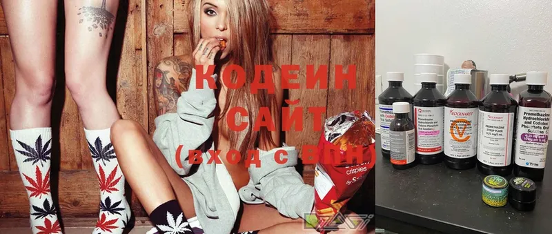 MEGA как войти  Новоалтайск  Codein Purple Drank  купить наркотики сайты 