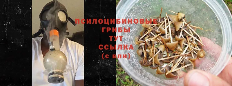 Галлюциногенные грибы Magic Shrooms  где можно купить наркотик  Новоалтайск 